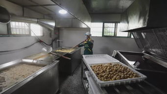 安平豆腐与鸡肉零食 传统风味的现代融合