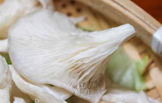 冯宜辉与吉昌冯食品 用镜头讲述北海与食物的故事